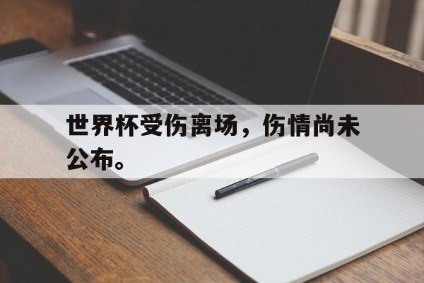 -世界杯受伤离场，伤情尚未公布。