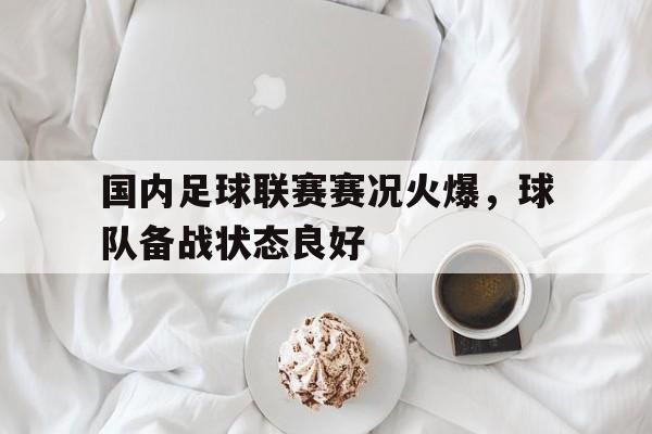 -国内足球联赛赛况火爆，球队备战状态良好