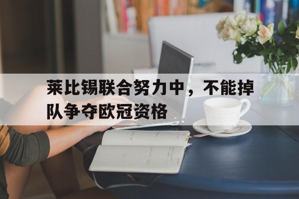 188体育官方网站-莱比锡联合努力中，不能掉队争夺欧冠资格